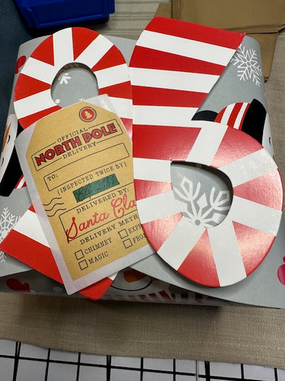 25 Days of Stitching Advent Pattern  - Printed Pattern with Kit