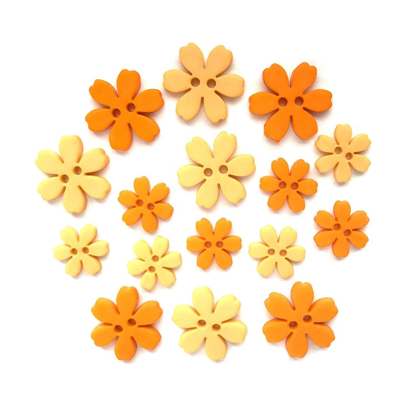 Marigold-Flower Power