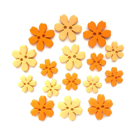 Marigold-Flower Power