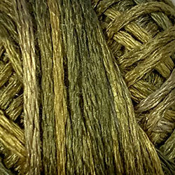 Valdani Silk Floss 6 Strand - Variegated: S153 - Golden Moss